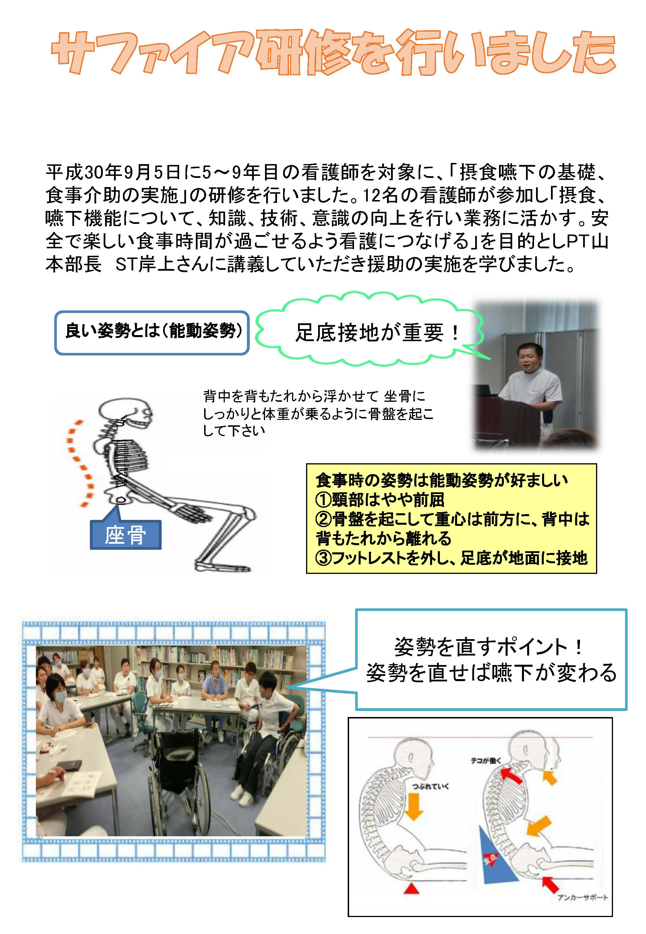サファイア研修
